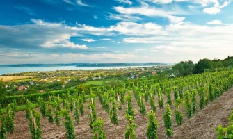 Balaton’s vindistrikt